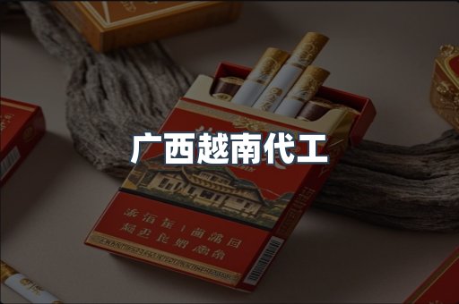 广西越南代工